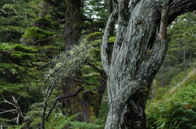 i know what i did last september