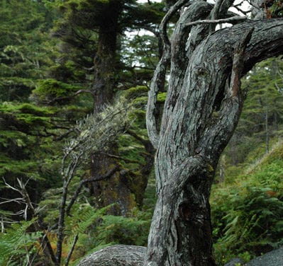 i know what i did last september