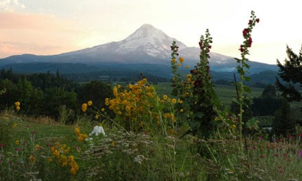 forget your past, this your your last chance now