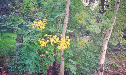 the beginning is the end is