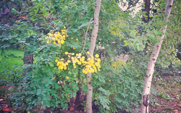 the beginning is the end is