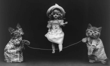 if wishes were kittens we’d have a CAT-astrophe