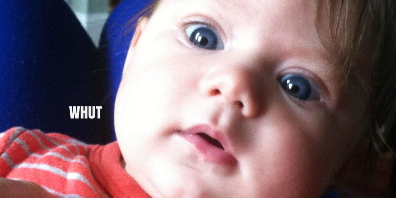 another damn guide to babies