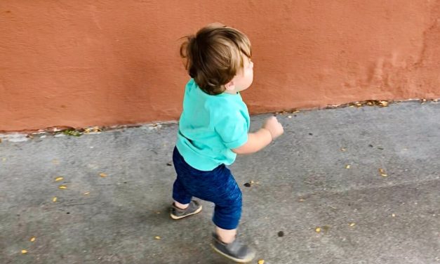 four truths about walking with toddlers