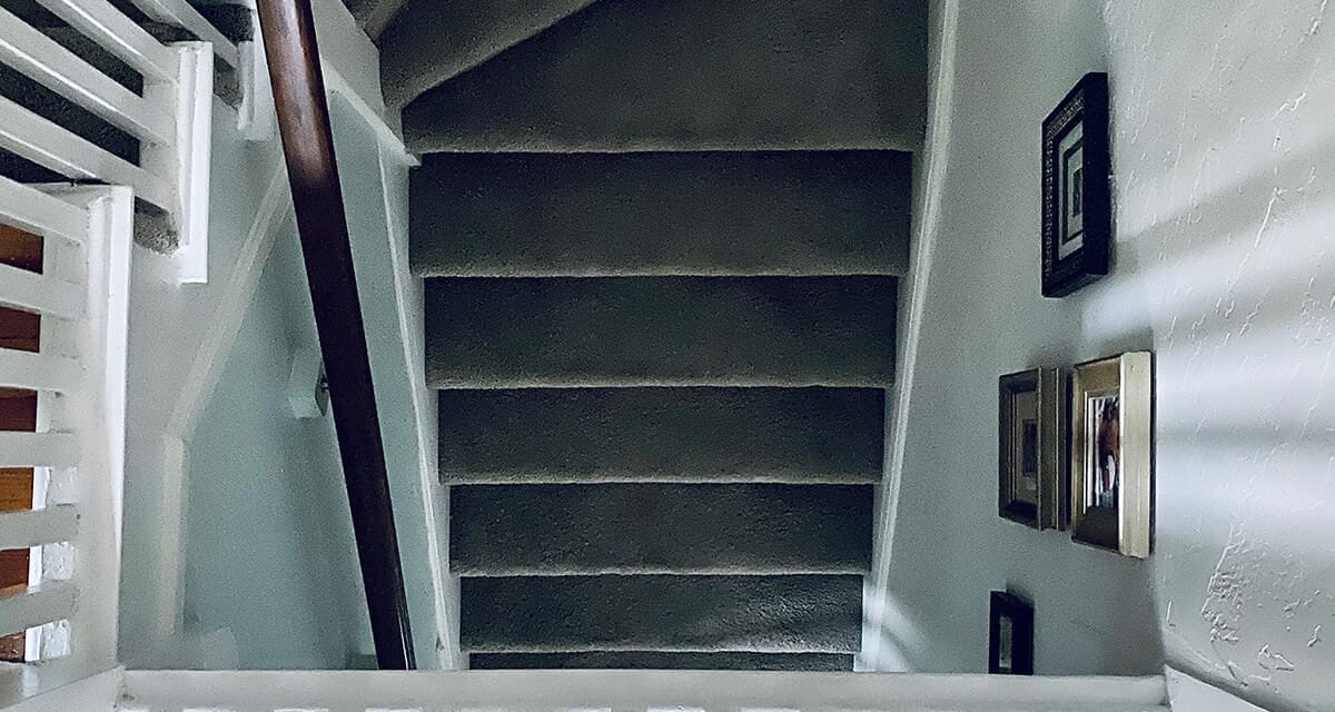 schrödinger’s 2020