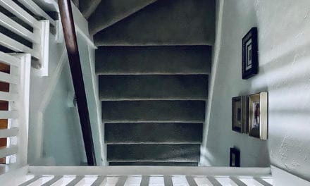 schrödinger’s 2020