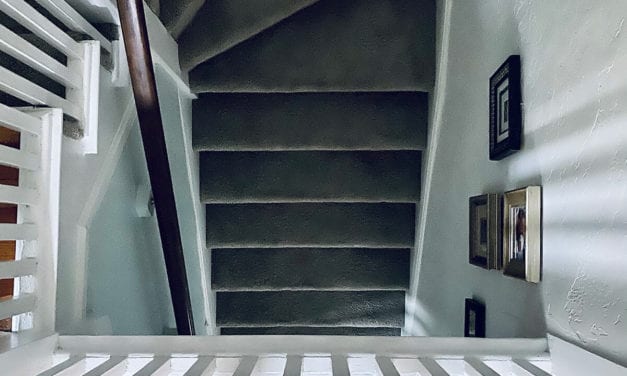 schrödinger’s 2020